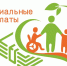 Выплаты семтям сдетьми! - Органы местного самоуправления рабочего поселка Новобурейский